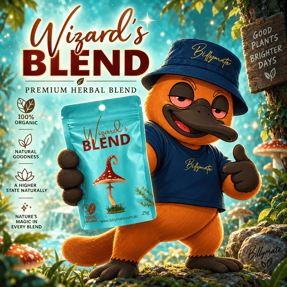 Wizards Blend Herbal Blend Mix 25g | Premium Botanical Blend